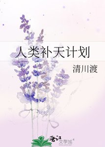 人类补天计划