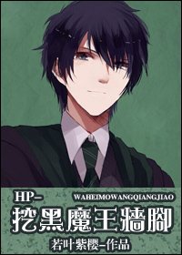 （HP同人）[HP]挖黑魔王墙脚